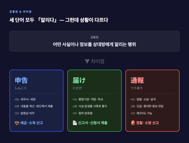 「申告」「届け」「通報」세 단어의 공통점(모두 '알리다')과 차이점(대상·상황·의무 여부)을 한눈에 보여주는 비교 다이어그램