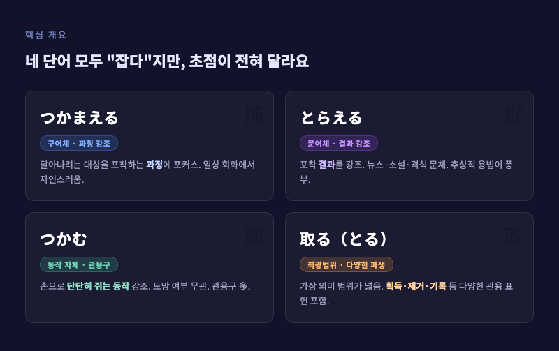네 단어의 공통점과 차이점 개요 인포그래픽 — 각 단어 옆에 핵심 키워드 한 줄씩