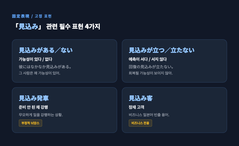 「見込み」관련 고정 표현 4가지를 깔끔하게 정리한 카드 이미지. 각 표현 옆에 간단한 한국어 뜻과 사용 예시 한 줄.