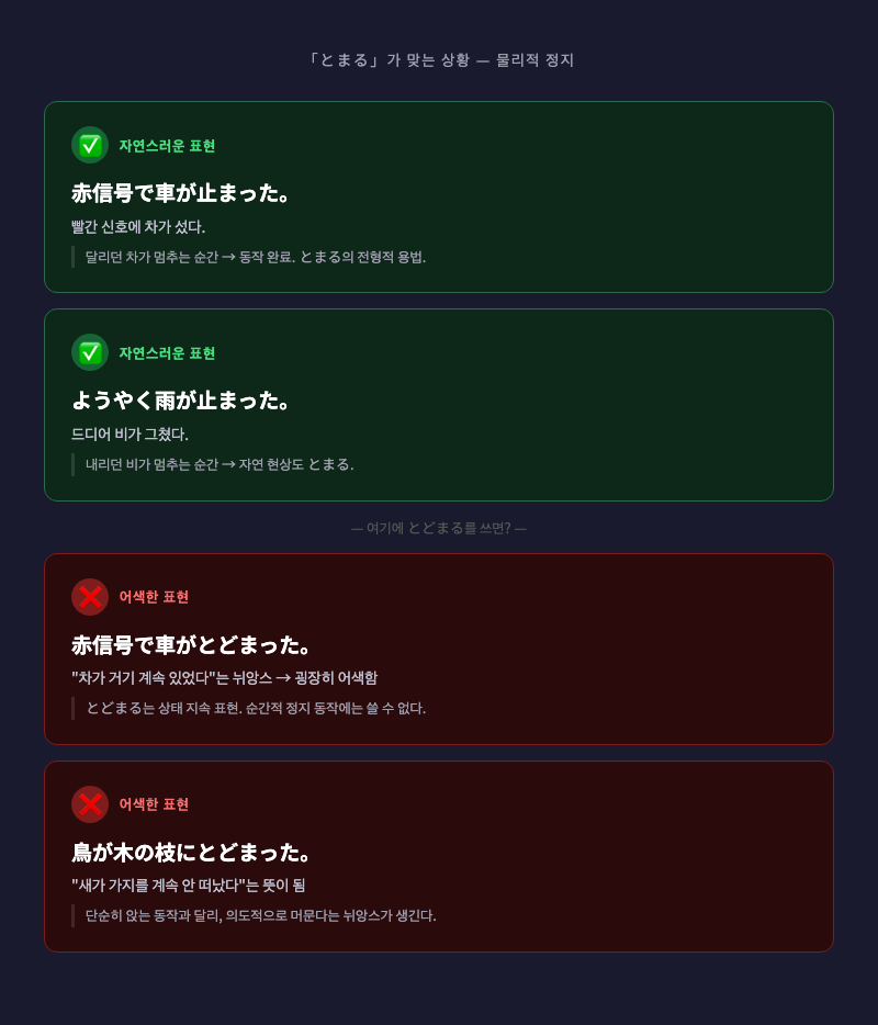 ✅ 「とまる」 예문과 ❌ 잘못 쓴 「とどまる」 예문을 나란히 비교한 인포그래픽 카드