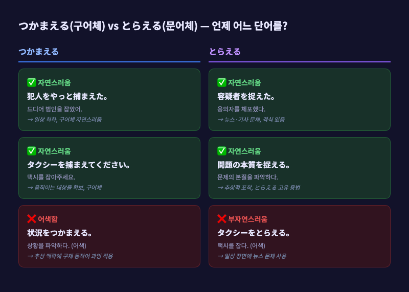 つかまえる와 とらえる의 차이를 일상 장면 vs 뉴스 장면으로 대비한 일러스트
