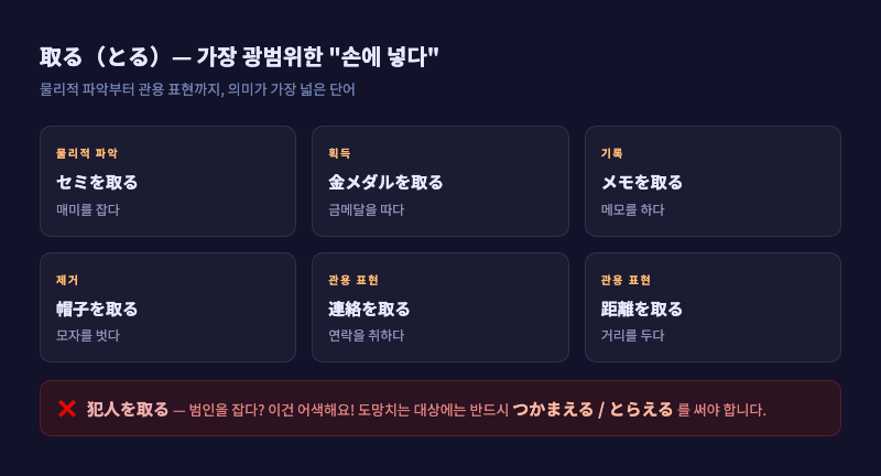 取る의 다양한 용법을 보여주는 인포그래픽 — 메모 取る, 연락 取る, 거리 取る 등 관용 표현 예시