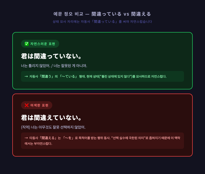 예문 정오 비교 카드 — 君は間違っていない vs 君は間違えていない