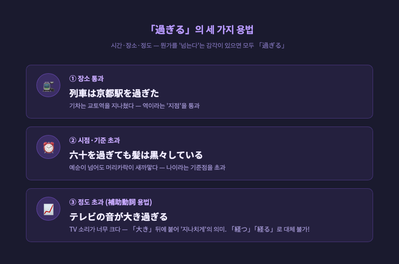 「過ぎる」의 세 가지 용법(장소 통과/시점 초과/정도 초과)을 각각 아이콘과 예문으로 정리한 인포그래픽