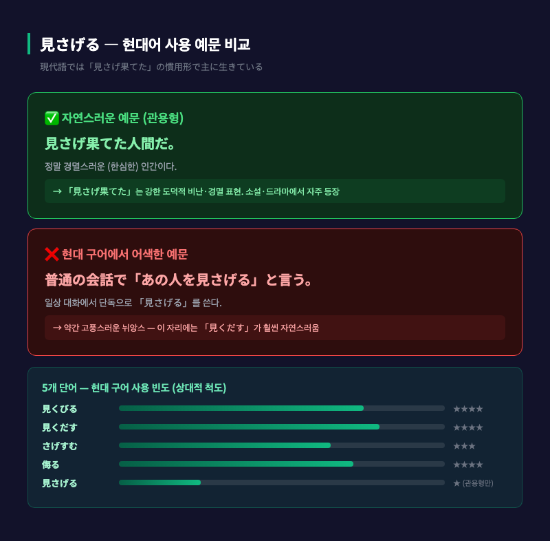 「見さげ果てた」라는 관용 표현과 함께, 5개 단어의 사용 빈도·문어성 정도를 나타낸 축 그래프