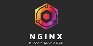 Moving from Synology Reverse Proxy to Nginx Proxy Manager